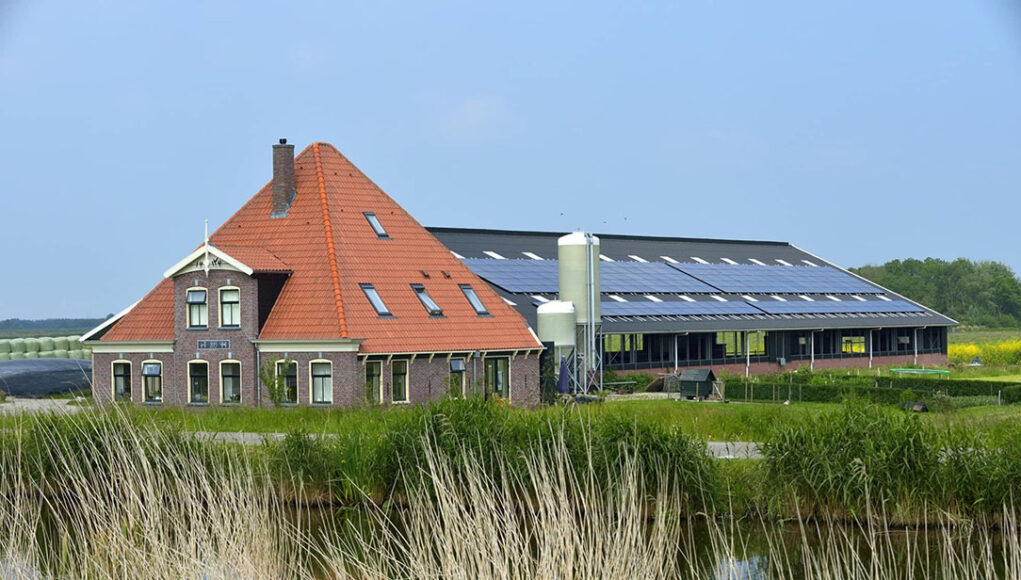 veehouderij-en-gezondheid-omwonenhh-21219818