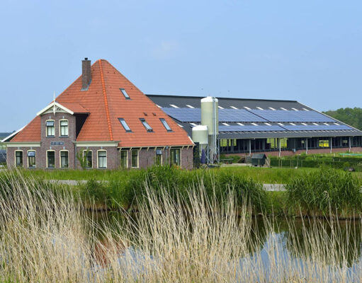 Stalmaatregelen en afstandsnormen nodig om gezondheid omwonenden van geitenhouderijen te beschermen