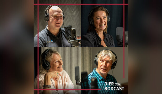 Podcast 19: Gestrand: wat is er met die zoogdieren aan de hand?